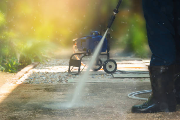 Best Sidewalk and Walkway Cleaning  in Lathrup Village, MI